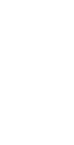 竹茂